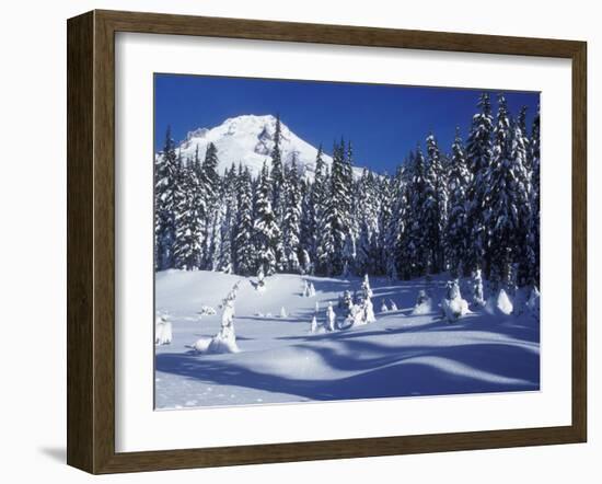 Snow Covered Trees and Moguls of Mt. Hood, Oregon, USA-Janis Miglavs-Framed Premium Photographic Print