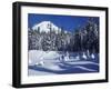 Snow Covered Trees and Moguls of Mt. Hood, Oregon, USA-Janis Miglavs-Framed Premium Photographic Print