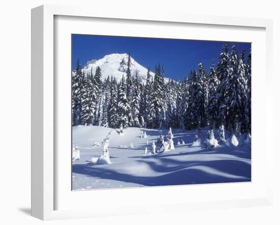 Snow Covered Trees and Moguls of Mt. Hood, Oregon, USA-Janis Miglavs-Framed Premium Photographic Print