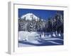 Snow Covered Trees and Moguls of Mt. Hood, Oregon, USA-Janis Miglavs-Framed Premium Photographic Print