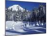 Snow Covered Trees and Moguls of Mt. Hood, Oregon, USA-Janis Miglavs-Mounted Premium Photographic Print
