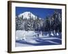 Snow Covered Trees and Moguls of Mt. Hood, Oregon, USA-Janis Miglavs-Framed Photographic Print