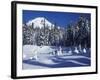 Snow Covered Trees and Moguls of Mt. Hood, Oregon, USA-Janis Miglavs-Framed Photographic Print