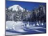 Snow Covered Trees and Moguls of Mt. Hood, Oregon, USA-Janis Miglavs-Mounted Photographic Print