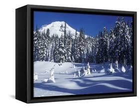 Snow Covered Trees and Moguls of Mt. Hood, Oregon, USA-Janis Miglavs-Framed Stretched Canvas