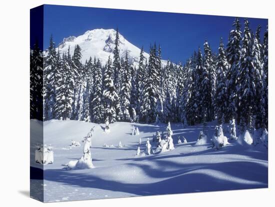 Snow Covered Trees and Moguls of Mt. Hood, Oregon, USA-Janis Miglavs-Stretched Canvas