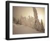 Snow-Covered Trees and Path Through Winter Landscape-Marcus Lange-Framed Photographic Print