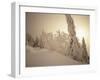 Snow-Covered Trees and Path Through Winter Landscape-Marcus Lange-Framed Photographic Print