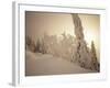 Snow-Covered Trees and Path Through Winter Landscape-Marcus Lange-Framed Photographic Print