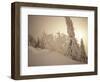 Snow-Covered Trees and Path Through Winter Landscape-Marcus Lange-Framed Photographic Print