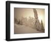 Snow-Covered Trees and Path Through Winter Landscape-Marcus Lange-Framed Photographic Print