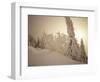 Snow-Covered Trees and Path Through Winter Landscape-Marcus Lange-Framed Photographic Print