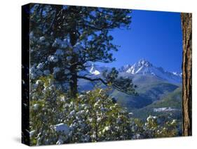 Snow Covered Trees and Sneffels Wilderness Range, Colorado, USA-Julie Eggers-Stretched Canvas