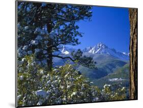Snow Covered Trees and Sneffels Wilderness Range, Colorado, USA-Julie Eggers-Mounted Photographic Print