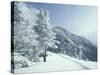 Snow Covered Trees and Snowshoe Tracks, White Mountain National Forest, New Hampshire, USA-Jerry & Marcy Monkman-Stretched Canvas