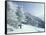 Snow Covered Trees and Snowshoe Tracks, White Mountain National Forest, New Hampshire, USA-Jerry & Marcy Monkman-Framed Stretched Canvas