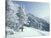 Snow Covered Trees and Snowshoe Tracks, White Mountain National Forest, New Hampshire, USA-Jerry & Marcy Monkman-Stretched Canvas