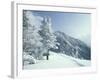 Snow Covered Trees and Snowshoe Tracks, White Mountain National Forest, New Hampshire, USA-Jerry & Marcy Monkman-Framed Photographic Print