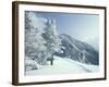 Snow Covered Trees and Snowshoe Tracks, White Mountain National Forest, New Hampshire, USA-Jerry & Marcy Monkman-Framed Photographic Print