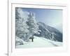 Snow Covered Trees and Snowshoe Tracks, White Mountain National Forest, New Hampshire, USA-Jerry & Marcy Monkman-Framed Photographic Print