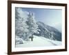 Snow Covered Trees and Snowshoe Tracks, White Mountain National Forest, New Hampshire, USA-Jerry & Marcy Monkman-Framed Photographic Print