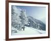 Snow Covered Trees and Snowshoe Tracks, White Mountain National Forest, New Hampshire, USA-Jerry & Marcy Monkman-Framed Photographic Print