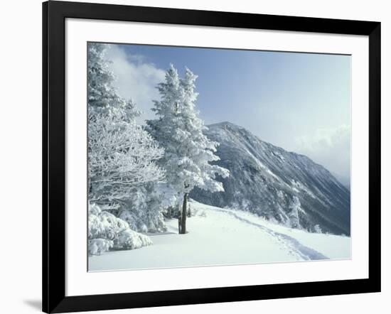 Snow Covered Trees and Snowshoe Tracks, White Mountain National Forest, New Hampshire, USA-Jerry & Marcy Monkman-Framed Photographic Print