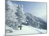 Snow Covered Trees and Snowshoe Tracks, White Mountain National Forest, New Hampshire, USA-Jerry & Marcy Monkman-Mounted Photographic Print