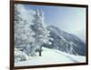 Snow Covered Trees and Snowshoe Tracks, White Mountain National Forest, New Hampshire, USA-Jerry & Marcy Monkman-Framed Photographic Print