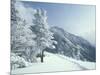 Snow Covered Trees and Snowshoe Tracks, White Mountain National Forest, New Hampshire, USA-Jerry & Marcy Monkman-Mounted Photographic Print