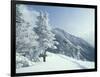 Snow Covered Trees and Snowshoe Tracks, White Mountain National Forest, New Hampshire, USA-Jerry & Marcy Monkman-Framed Photographic Print