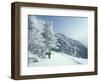 Snow Covered Trees and Snowshoe Tracks, White Mountain National Forest, New Hampshire, USA-Jerry & Marcy Monkman-Framed Photographic Print