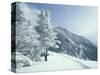 Snow Covered Trees and Snowshoe Tracks, White Mountain National Forest, New Hampshire, USA-Jerry & Marcy Monkman-Stretched Canvas