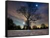 Snow Covered Trees at Night in Hyde Park, London-Alex Saberi-Framed Stretched Canvas