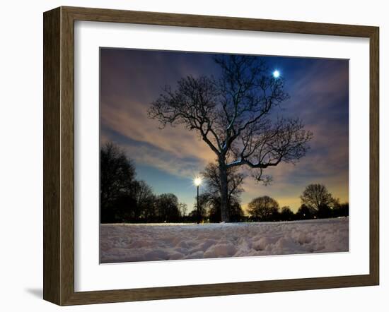 Snow Covered Trees at Night in Hyde Park, London-Alex Saberi-Framed Photographic Print