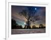 Snow Covered Trees at Night in Hyde Park, London-Alex Saberi-Framed Photographic Print