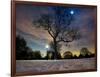 Snow Covered Trees at Night in Hyde Park, London-Alex Saberi-Framed Photographic Print