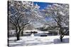 Snow Covered Trees at Riverside-George Oze-Stretched Canvas