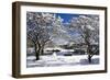 Snow Covered Trees at Riverside-George Oze-Framed Photographic Print