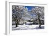 Snow Covered Trees at Riverside-George Oze-Framed Photographic Print