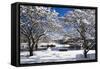 Snow Covered Trees at Riverside-George Oze-Framed Stretched Canvas