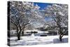 Snow Covered Trees at Riverside-George Oze-Stretched Canvas