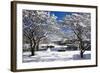 Snow Covered Trees at Riverside-George Oze-Framed Photographic Print