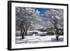 Snow Covered Trees at Riverside-George Oze-Framed Photographic Print