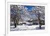 Snow Covered Trees at Riverside-George Oze-Framed Photographic Print
