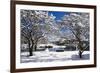 Snow Covered Trees at Riverside-George Oze-Framed Photographic Print