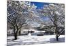 Snow Covered Trees at Riverside-George Oze-Mounted Photographic Print