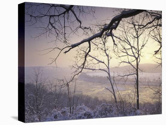 Snow-Covered Trees at Sunset, Cades Cove, Great Smoky Mountains National Park, Tennessee, USA-Adam Jones-Stretched Canvas
