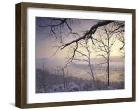 Snow-Covered Trees at Sunset, Cades Cove, Great Smoky Mountains National Park, Tennessee, USA-Adam Jones-Framed Photographic Print