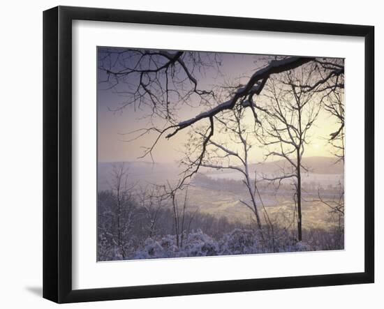 Snow-Covered Trees at Sunset, Cades Cove, Great Smoky Mountains National Park, Tennessee, USA-Adam Jones-Framed Photographic Print